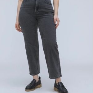 Everlane The Curvy Way-High Jean Size 30